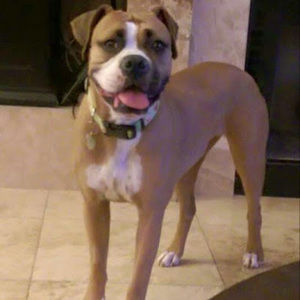 Meet your Posher, Rodney